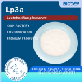 Polvere di Lactobacillus plantarum Lp3a ad elevata purezza (100 miliardi-900 miliardi di CFU/g)
